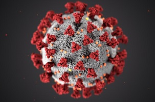 Covid-19 Virus Cell