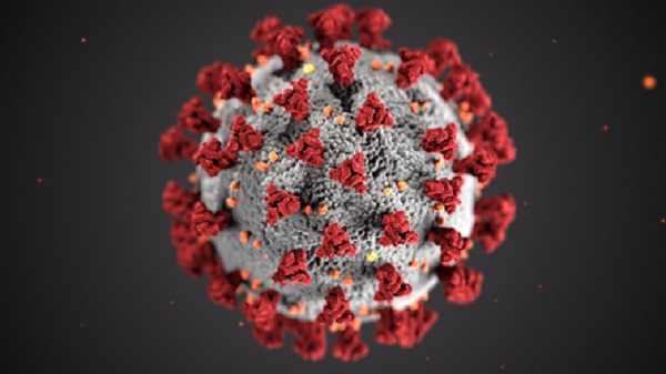 Covid-19 Virus Cell